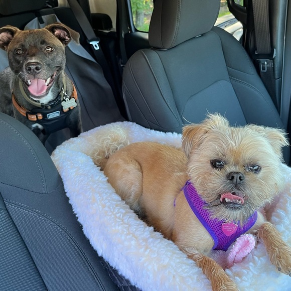 Like This Listing For Show Notifications - Picture 3 of 5